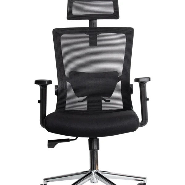 Ergonomska kancelarijska stolica UGD Axis D41