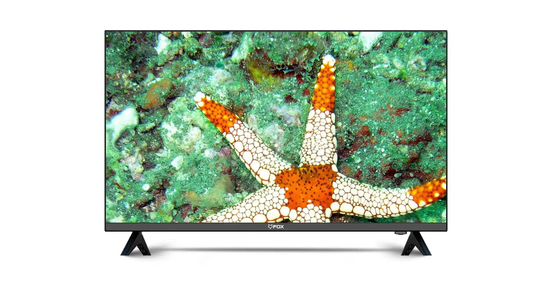 LED-TV-32-FOX-32DTV230E-1366x768HD-ReadyDVB-T2S2C-1-1