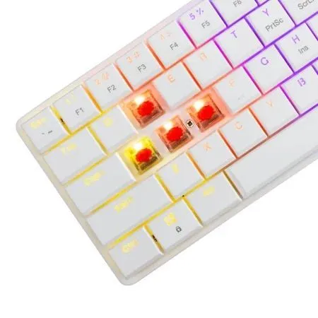 Mehanicka-tastatura-White-Shark-Nagamaki-GK-006211-BelaLow-ProfileRed-switchesRGB-1-1