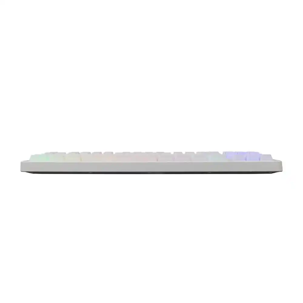 Tastatura-Baracuda-Krill-BGK-01114-bela-US-RGB-2-1