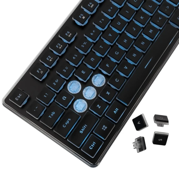 Tastatura-White-Shark-GK-003141-TACHI-crna-membranska-US-1-1
