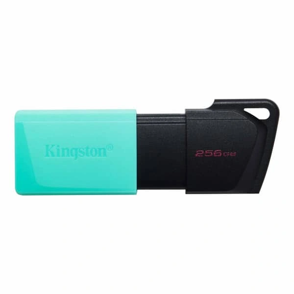 USB Flash Kingston 256GB DataTraveler Exodia M